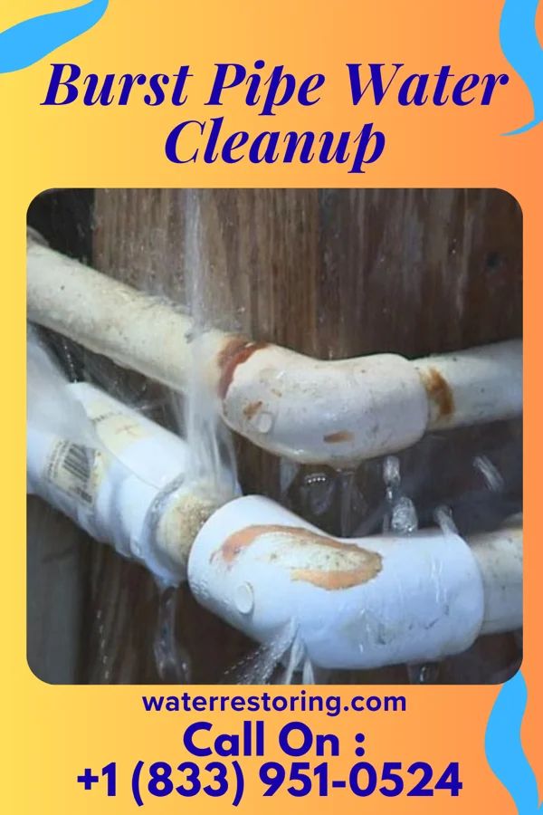 Burst Pipe Water Cleanup in Morganfield, KY