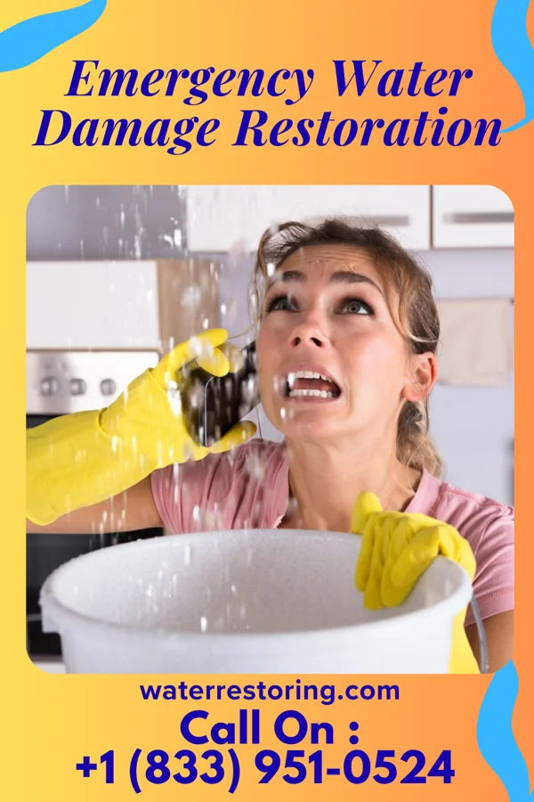 Emergency Water Damage Restoration in Morganfield, KY