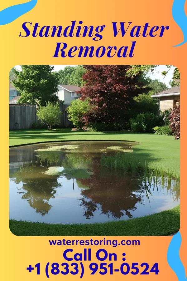 Standing Water Removal in Morganfield, KY